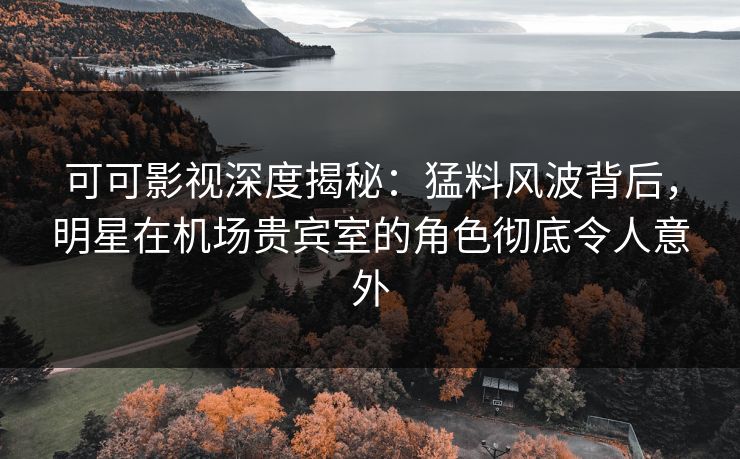 可可影视深度揭秘：猛料风波背后，明星在机场贵宾室的角色彻底令人意外